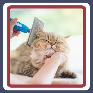 Grooming