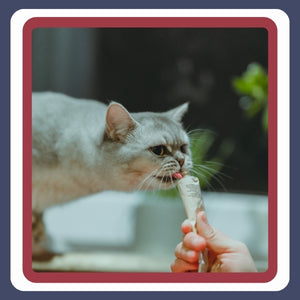 Treats