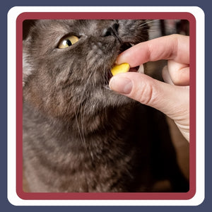 Vitamins, Supplements, & Health
