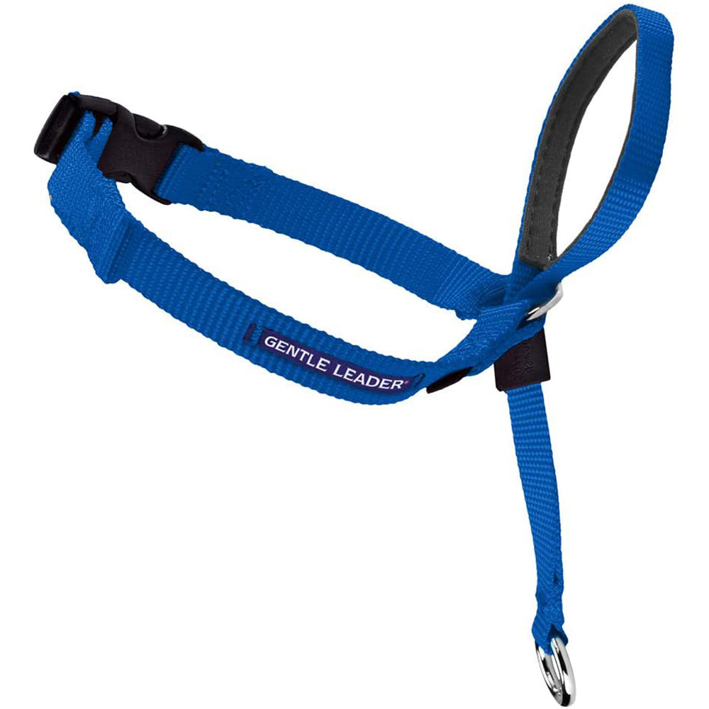 PetSafe Gentle Leader Headcollar Medium Blue Poudre Pet and Feed Supply